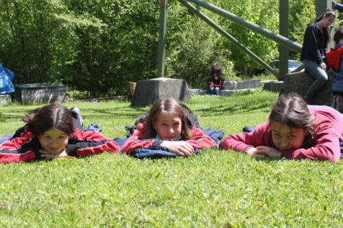 IMG 7763
