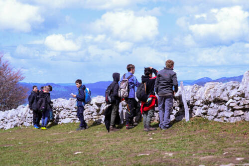 Pfila21-19