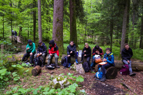 Pfila21-51