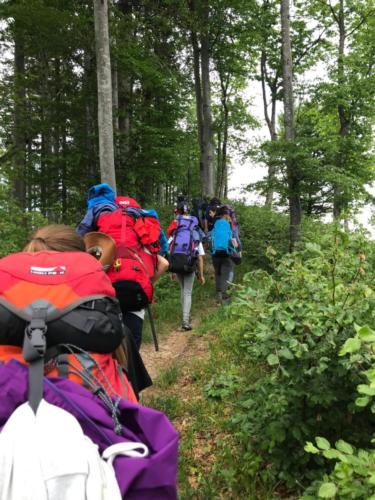 19Pfila Maori ne -20190610-WA0188