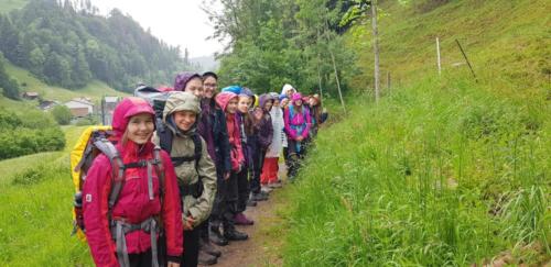 19Pfila Maori ne 0610 121714