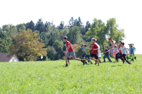 IMG 1945 (1)