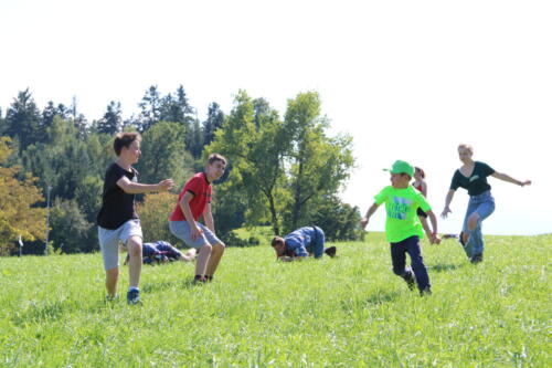 IMG 1971 (1)