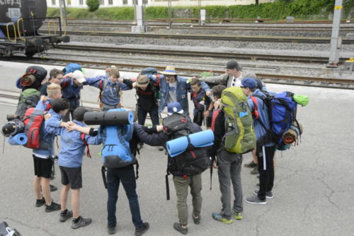 js_PfilaPhönix_19_jz00001