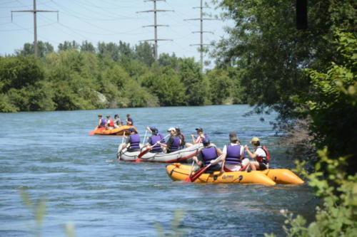 js_PfilaPhönix_19_jz00002