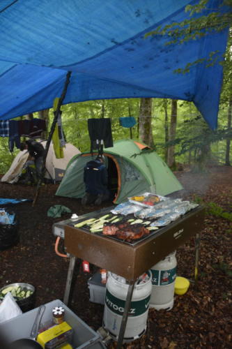 js_PfilaPhönix_19_jz00005