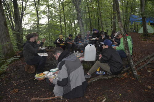 js_PfilaPhönix_19_jz00006