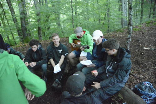 js_PfilaPhönix_19_jz00007