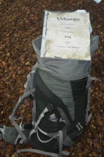 js_PfilaPhönix_19_jz00010