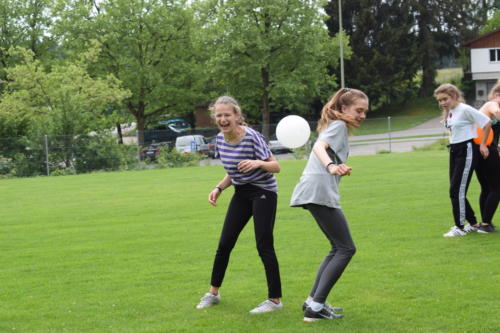 js_pfilaChinook_1800010