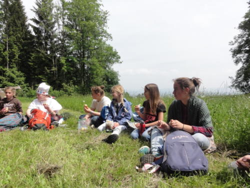 js_pfilaEos_18_rp00008