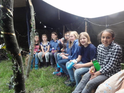 js_pfilaEos_18_rp00013