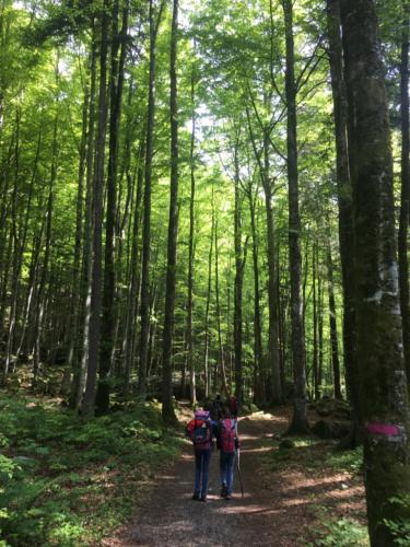 js_pfilaNayeli18_sh00002