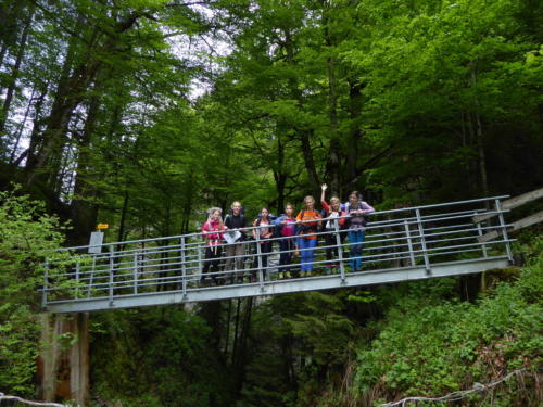 js_pfilaSaroja_18_ca00001