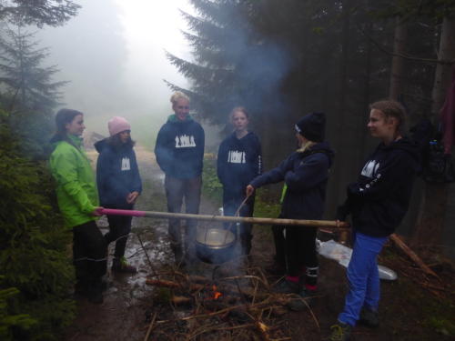 js_pfilaSaroja_18_ca00005