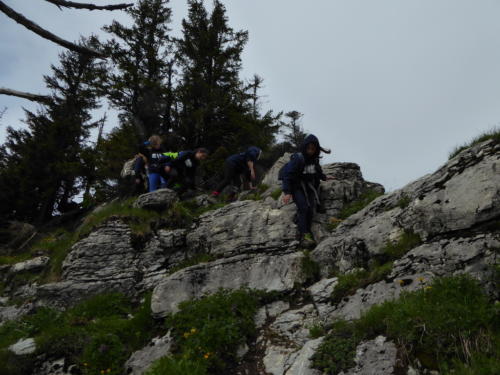 js_pfilaSaroja_18_ca00008